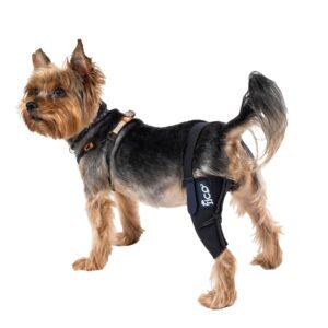 ficopets canine protective knee brace