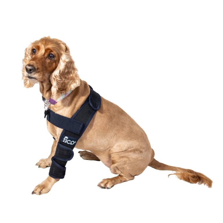 ficopets protective elbow brace for dogs