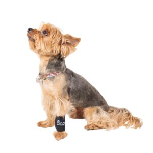 ficopets compression wrap for dogs