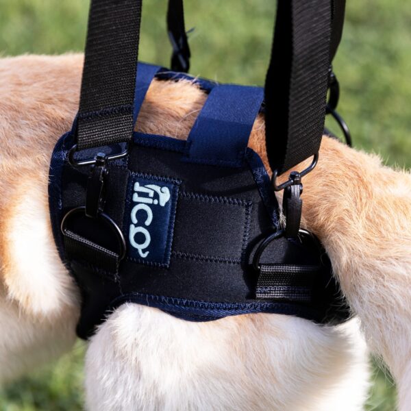 ficopets dog hip dysplasia brace